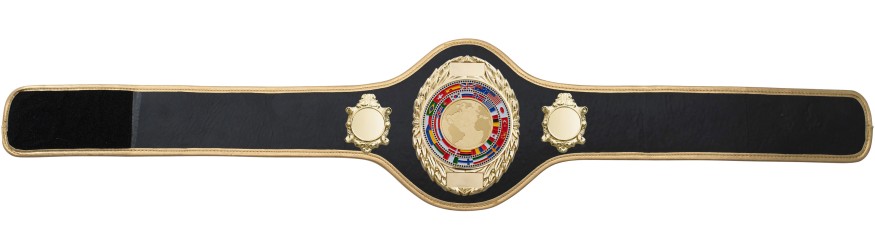 CHAMPIONSHIP BELT PRO286/G/WLDFLAGG - AVAILABLE IN 10+ COLOURS